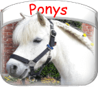 Ponys